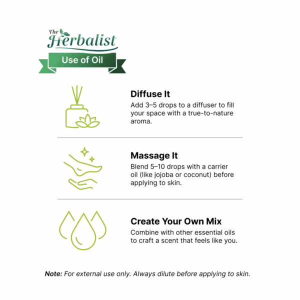 Tea Tree Oil - Image 5
